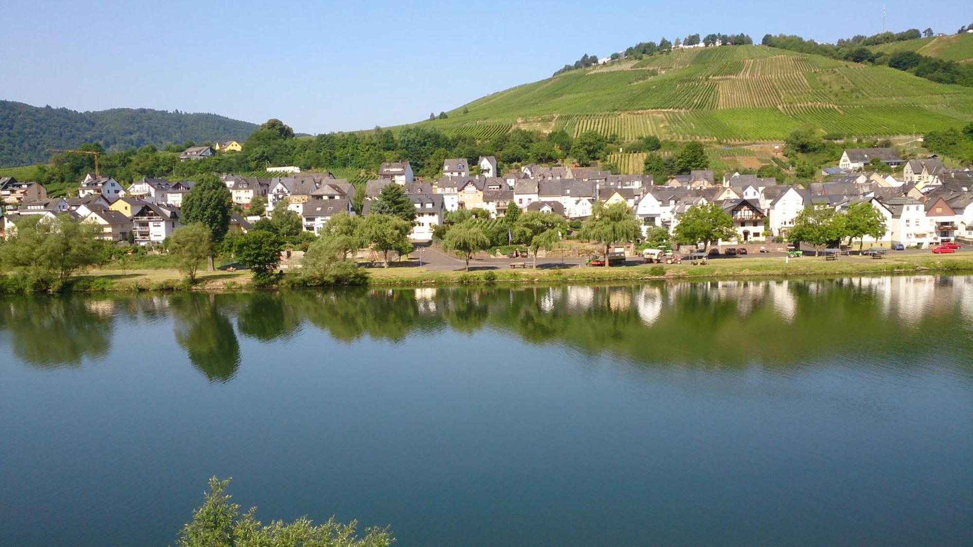 Mosel View Leilighet Zell an der Mosel Rom bilde