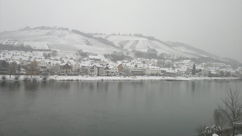 Mosel View Leilighet Zell an der Mosel Eksteriør bilde